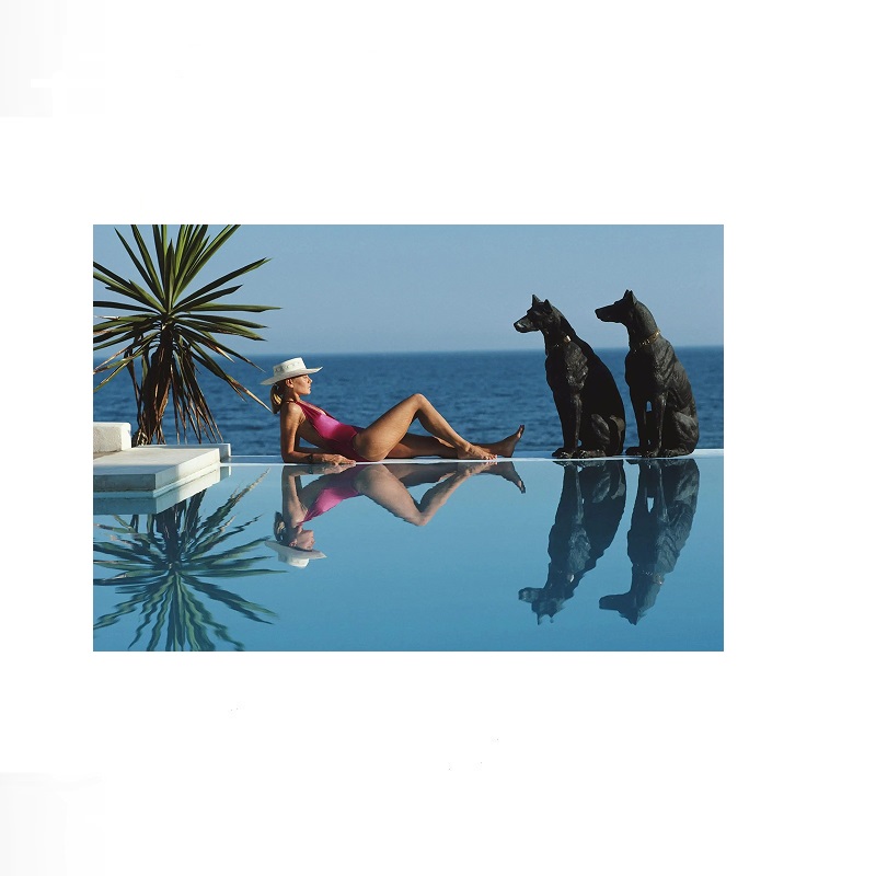 Retro Poolside Host Luxury Lif - Luxury Lifestyle Living reseña y precio