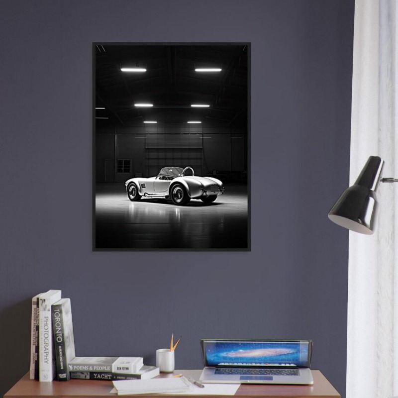Póster de coches de marca famo - Luxury Lifestyle Items reseña y precio